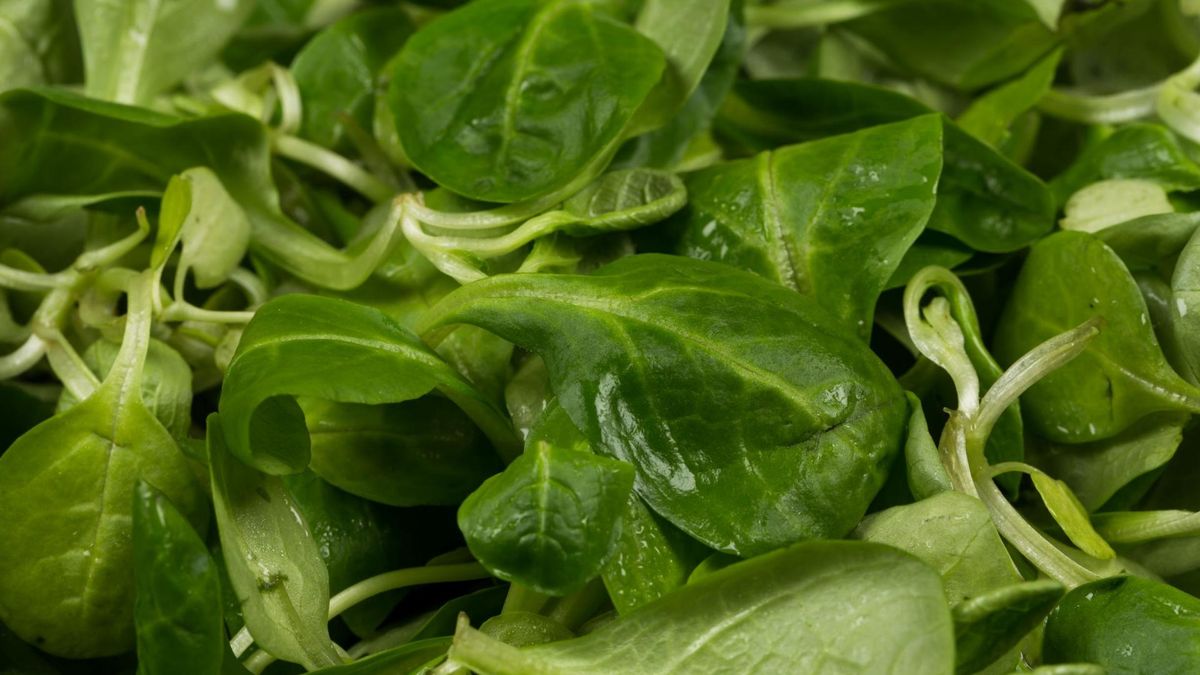 Roszponka to świetny wybór dla osób na diecie redukcyjnej.