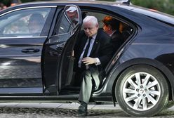 Problem PiS z poparciem. Socjolog ma swoją tezę