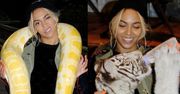 Beyonce pozuje z wężem!