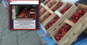 Truskawkowa wojna niedaleko Poznania. Niszczą stoiska konkurencji