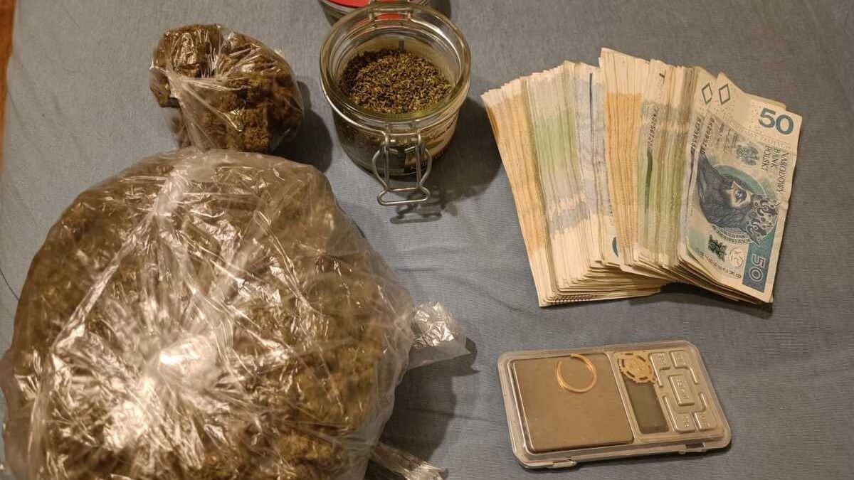 Marihuana, waga i gotówka