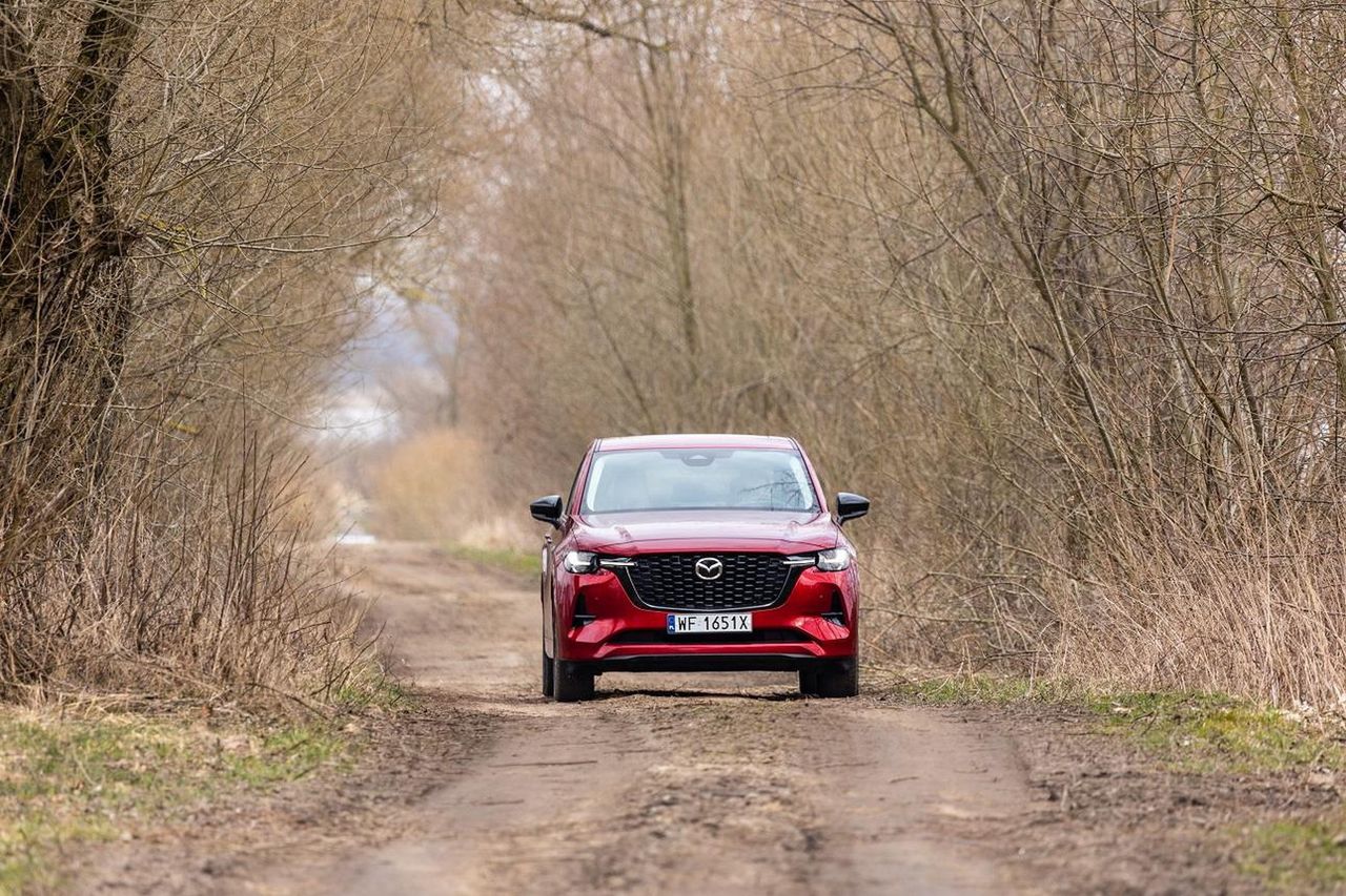 Auto na raty – jak mądrze sfinansować zakup nowego samochodu?