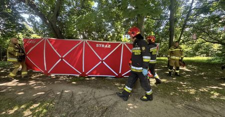 Tragiczne odkrycie w parku. Znaleziono ciało 30-latki
