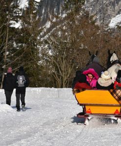 Kulig droższy od lotu samolotem. Zakopane "odleciało" Polakom