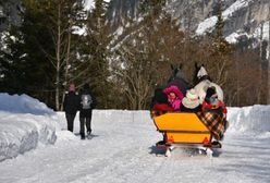 Kulig droższy od lotu samolotem. Zakopane "odleciało" Polakom