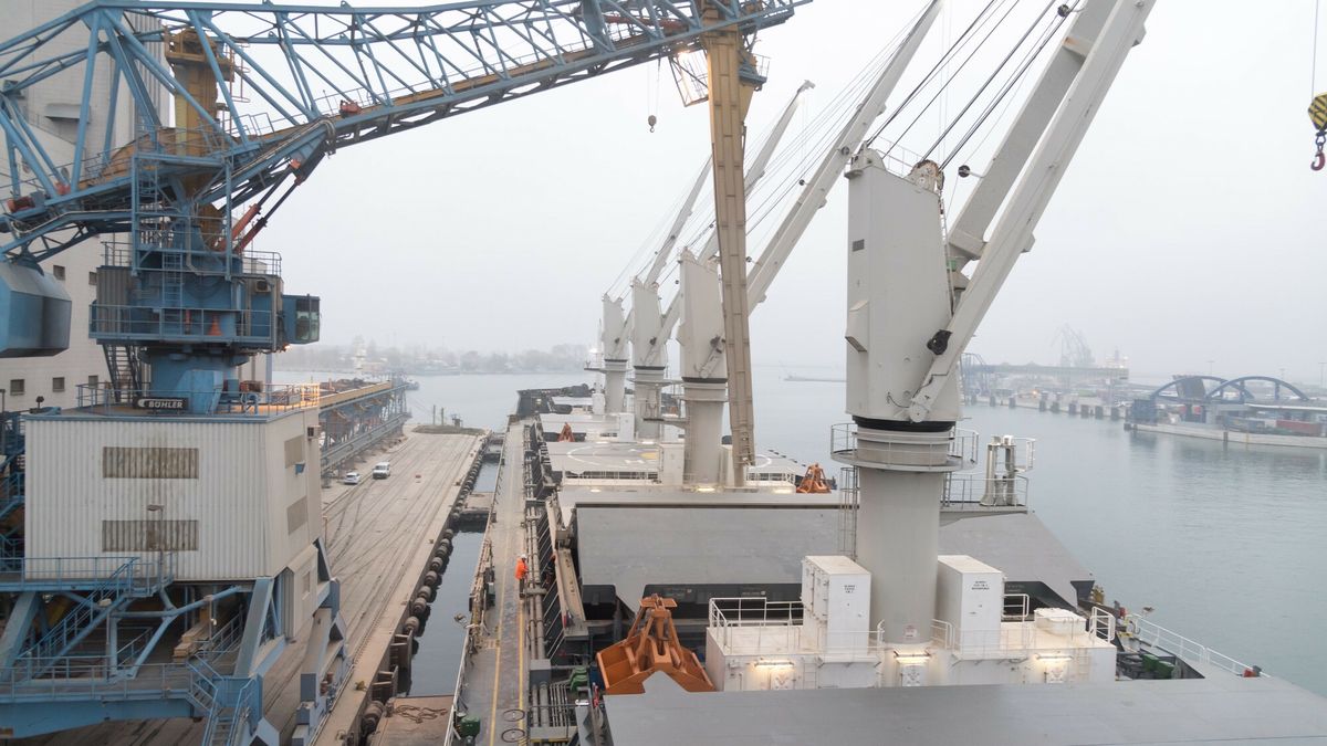 Unieważniono przetarg na dzierżawę terminala zbożowego w Gdyni