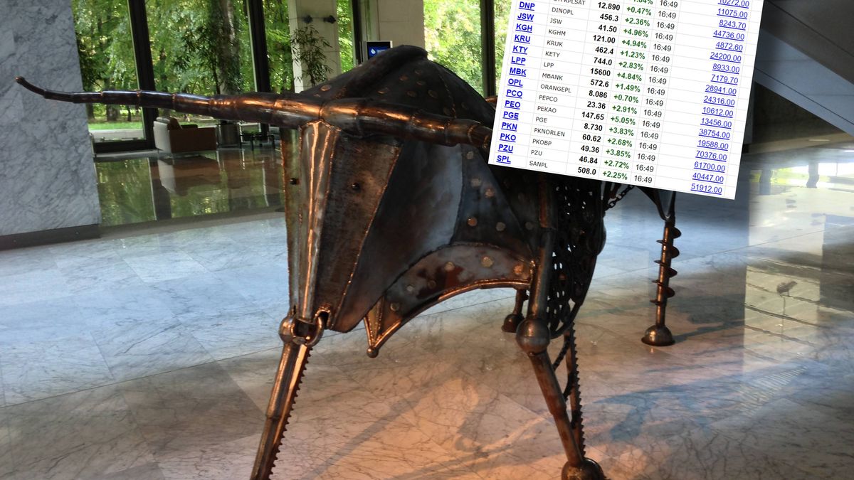 WIG20 odnotował wzrost