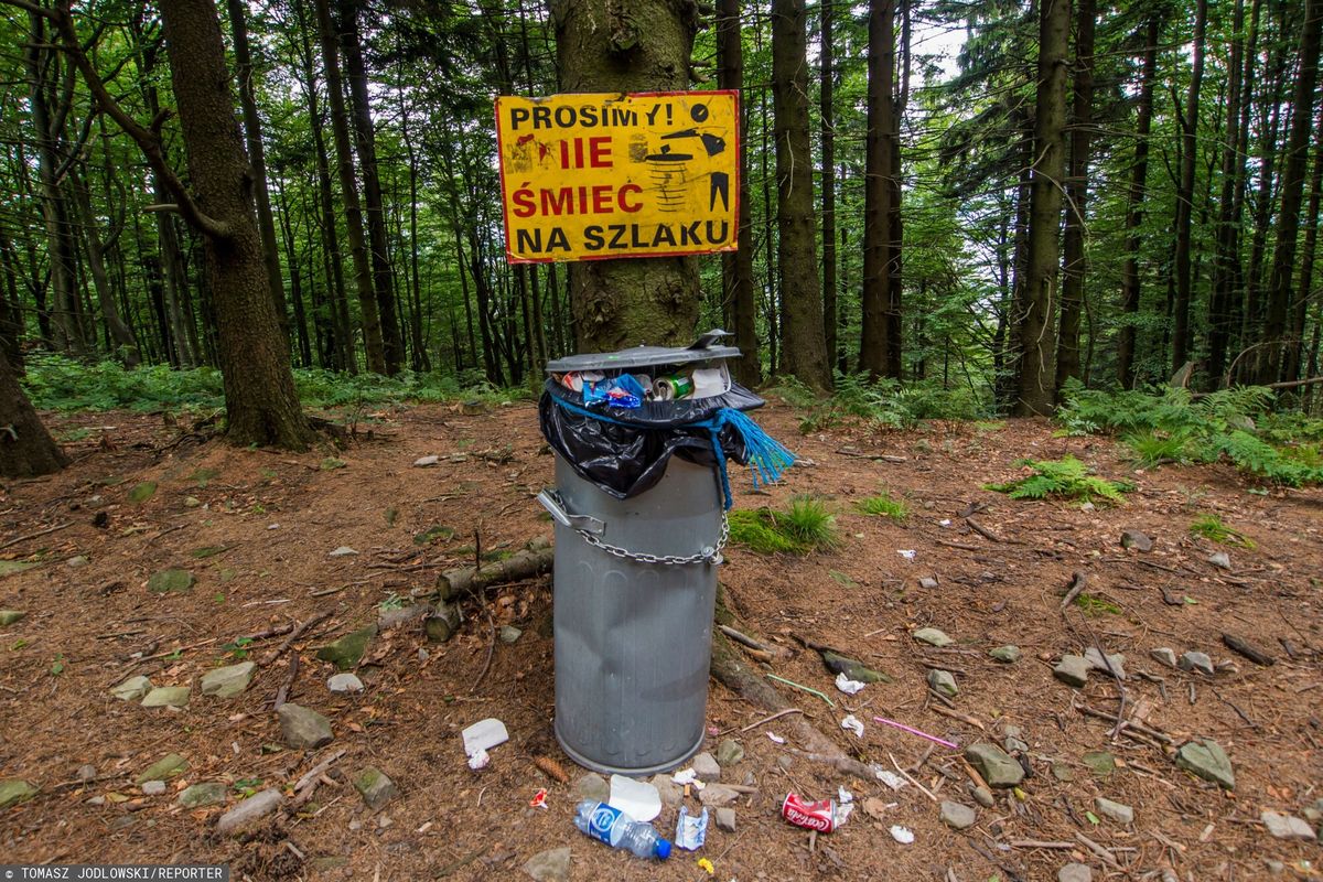 Internauci zwracają uwagę na problem śmiecenia w lasach i parkach narodowych/ Zdjęcie ilustracyjne