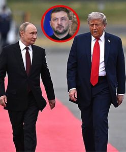 Zełenski skomentował spotkanie Trumpa z Putinem. "Wielka szkoda"