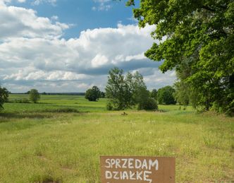 Działka tańsza niż tygodniowe wczasy nad morzem? To możliwe. Sprawdzamy cenowe okazje