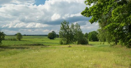 Działka tańsza niż tygodniowe wczasy nad morzem? To możliwe. Sprawdzamy cenowe okazje