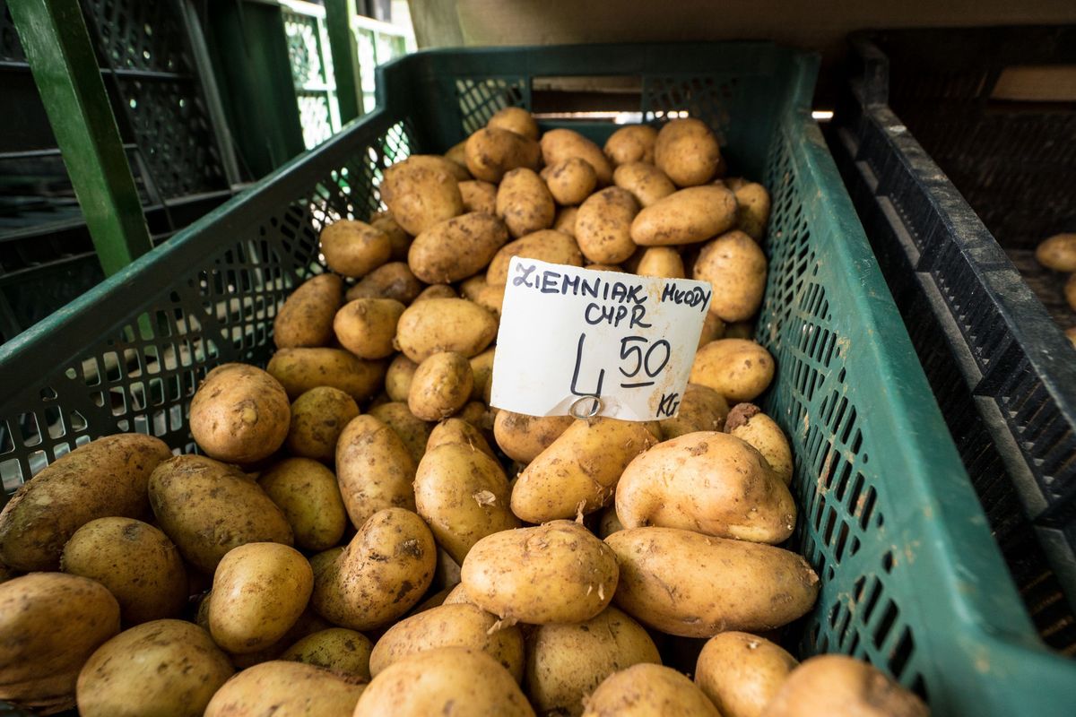 Jaki są aktualne ceny młodych ziemniaków?
