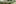 420762863864403784