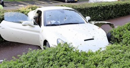 Wypożyczył luksusowe ferrari. Tak się cieszył, że skończył na drzewie