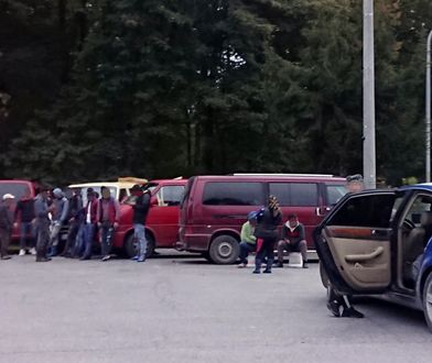 "Mafia rumuńskich grzybiarzy" sieje postrach w lasach pod Kielcami. Mają polować na koszyki z borowikami