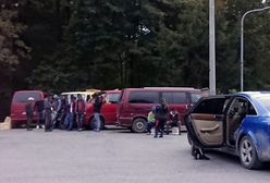 "Mafia rumuńskich grzybiarzy" sieje postrach w lasach pod Kielcami. Mają polować na koszyki z borowikami