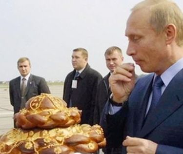 Putinowy kapuściany cud z grzybami