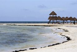 Krwawy rekord na rajskiej wyspie