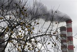 Będzie przełom ws. pakietu klimatyczno-energetycznego UE?