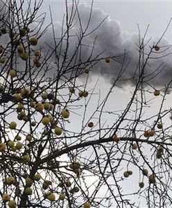Będzie przełom ws. pakietu klimatyczno-energetycznego UE?