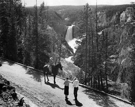 Chińczycy stworzą park narodowy większy od Yellowstone