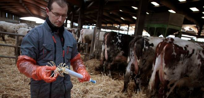 100 tys. zł dla młodego rolnika