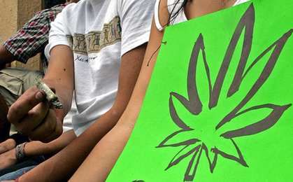 "Zielony wtorek" w stanie Waszyngton: ruszyła sprzedaż marihuany
