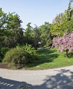 Odsłonięto promenadę imienia Pawła Adamowicza w czeskiej Pradze