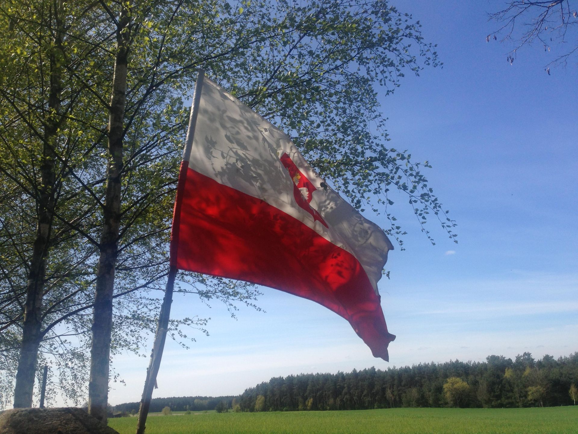 Obraz