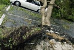 2 mld dol. dla Florydy