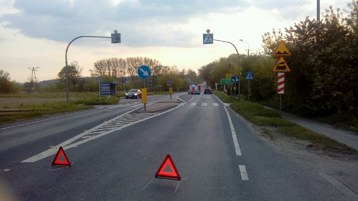 zdjęcie