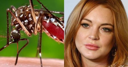 Lindsay Lohan ofiarą wirusa czikungunia