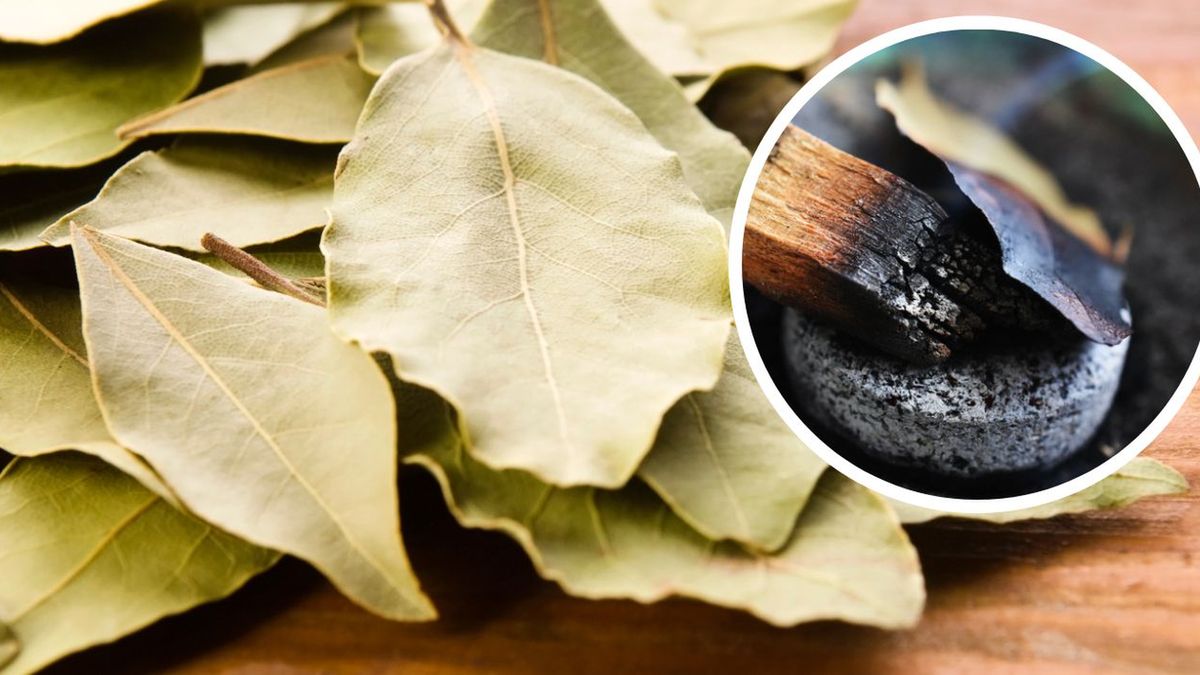 Palenie liści laurowych- Pyszności źródło Canva, Getty Images