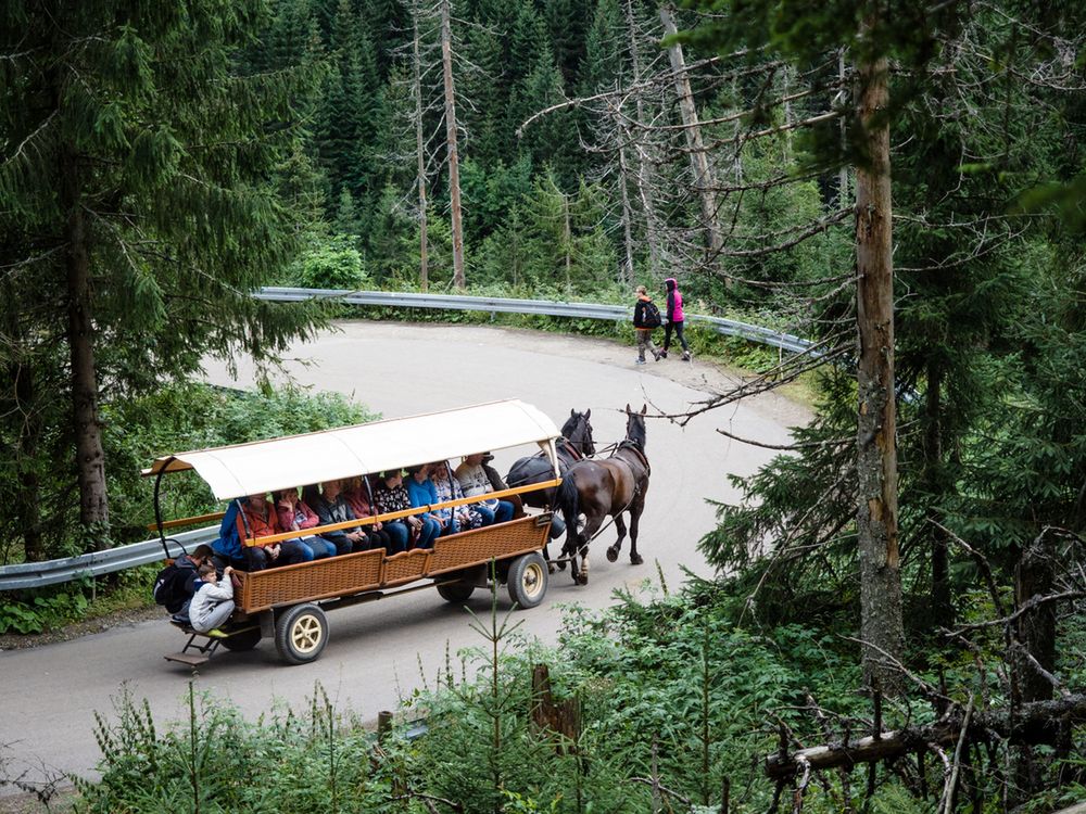 Fasiągi wiozące turystów na Morskie Oko 