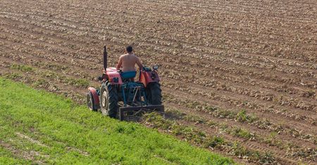 Lubelskie. Śmierć w truskawkach. Rolnik osądzony