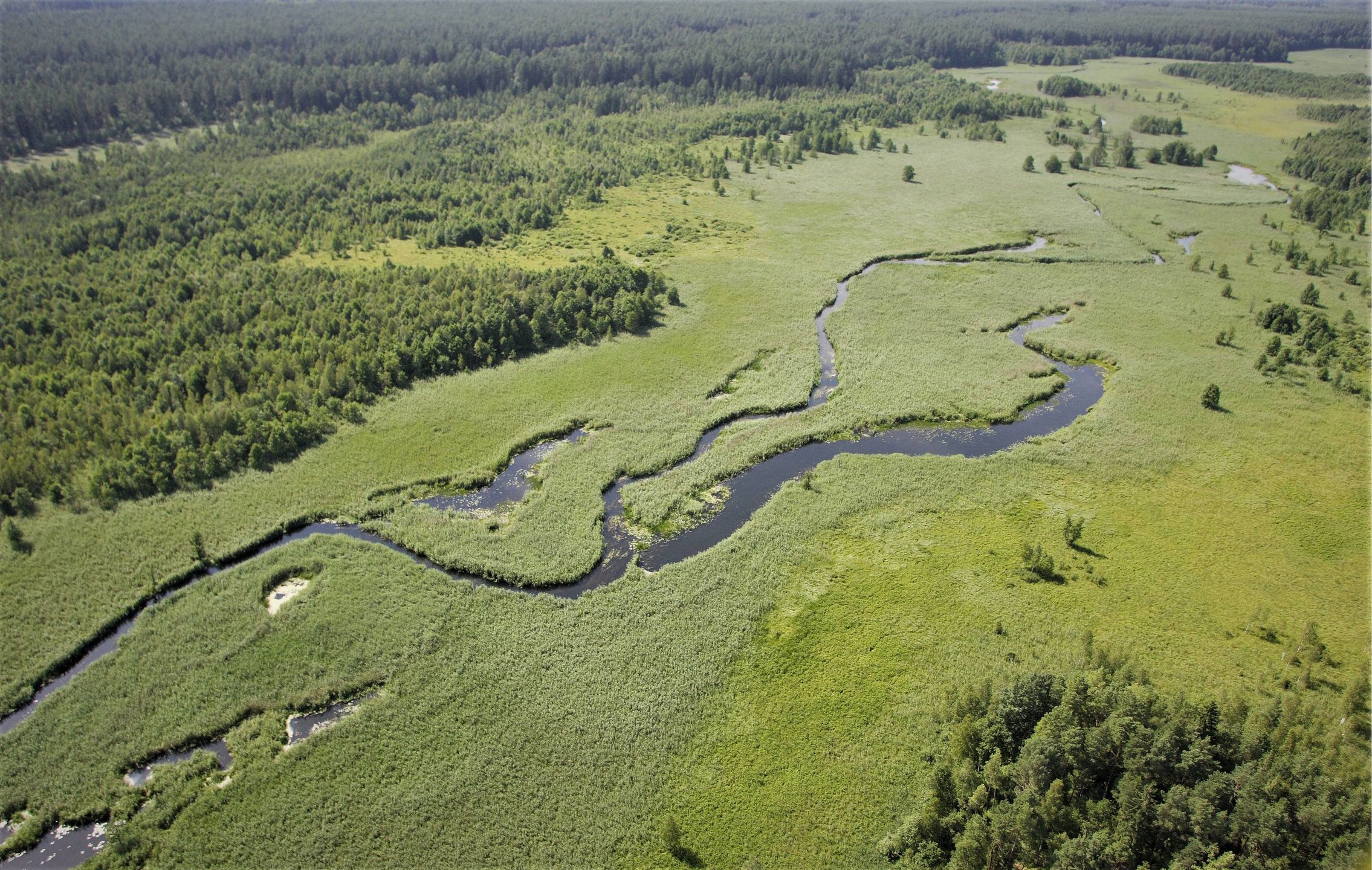 Dolina Rospudy w 2007 roku