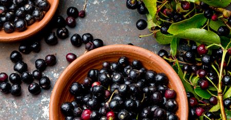 Jagody maqui to prawdziwy superfood. Pomagają schudnąć i opóźniają procesy starzenia