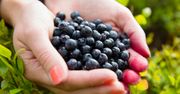 5 powodów, dlaczego warto jeść jagody