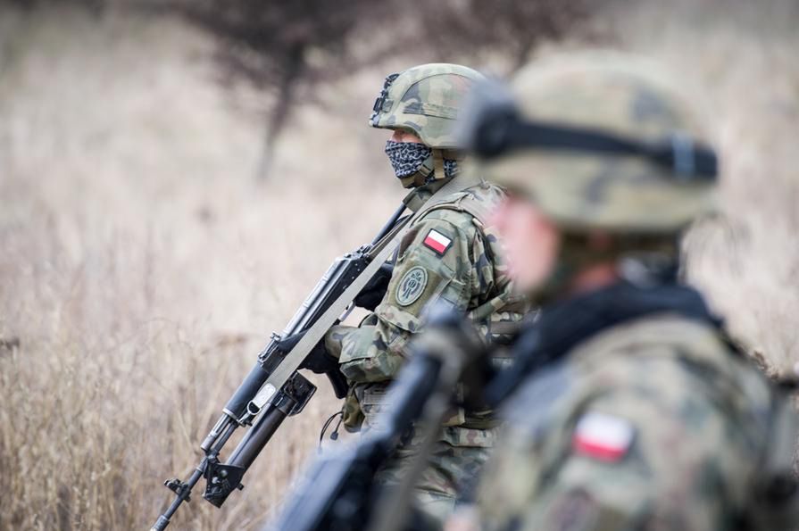 Żołnierze pójdą polować na dziki. Najbardziej kuriozalny pomysł rolniczego lobby powrócił