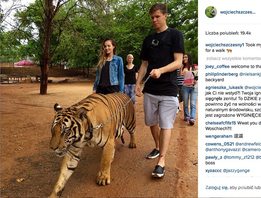 Wojciech Szczęsny i Marina Łuczenko w Tajlandii z tygrysem na łańcuchu