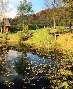 Tam, gdzie cisza i spokój. Cała prawda o życiu daleko od miasta