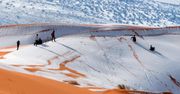Sahara zieloną oazą? Tak jest co 20 tysięcy lat, odkryli naukowcy
