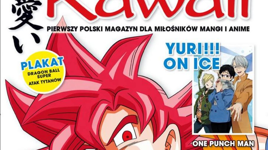 Ostatni numer "Kawaii" ukazał się w 2005 roku