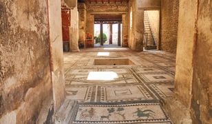 Uszkodził zabytkową mozaikę w Pompejach, bo chciał mieć lepsze ujęcie