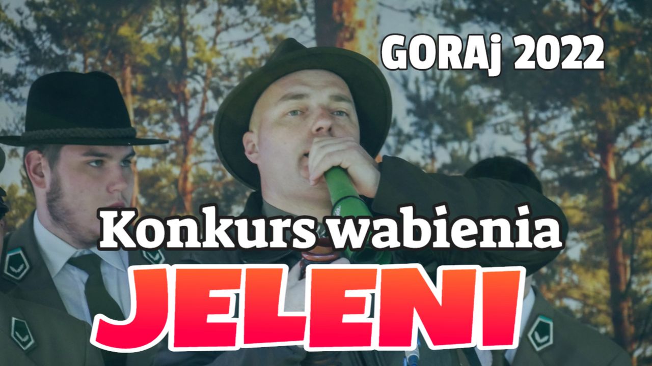 Konkurs Wabienia Jelenia – Goraj 2022
