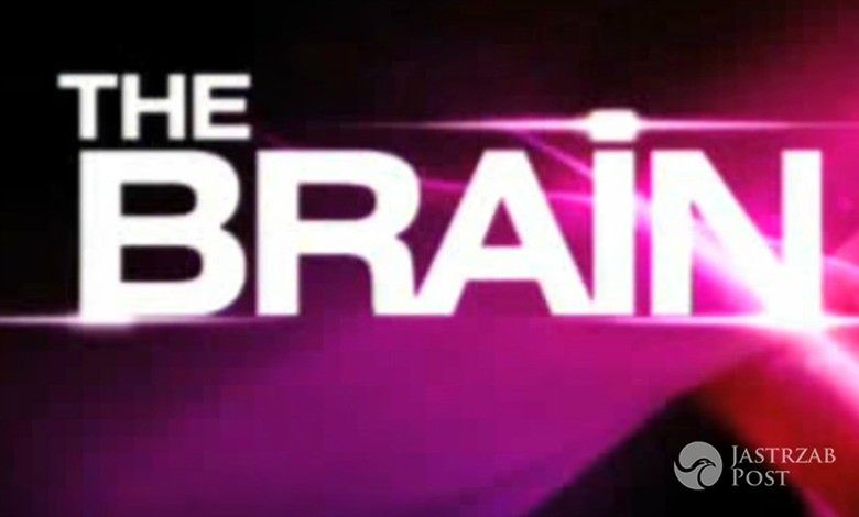 The Brain główne