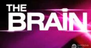 Powstanie polska edycja "The Brain"! Znamy szczegóły