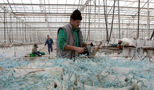 Już ponad 300 tys. cudzoziemców z pozwoleniem na pobyt w Polsce. Najwięcej z Ukrainy