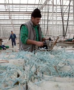 Już ponad 300 tys. cudzoziemców z pozwoleniem na pobyt w Polsce. Najwięcej z Ukrainy