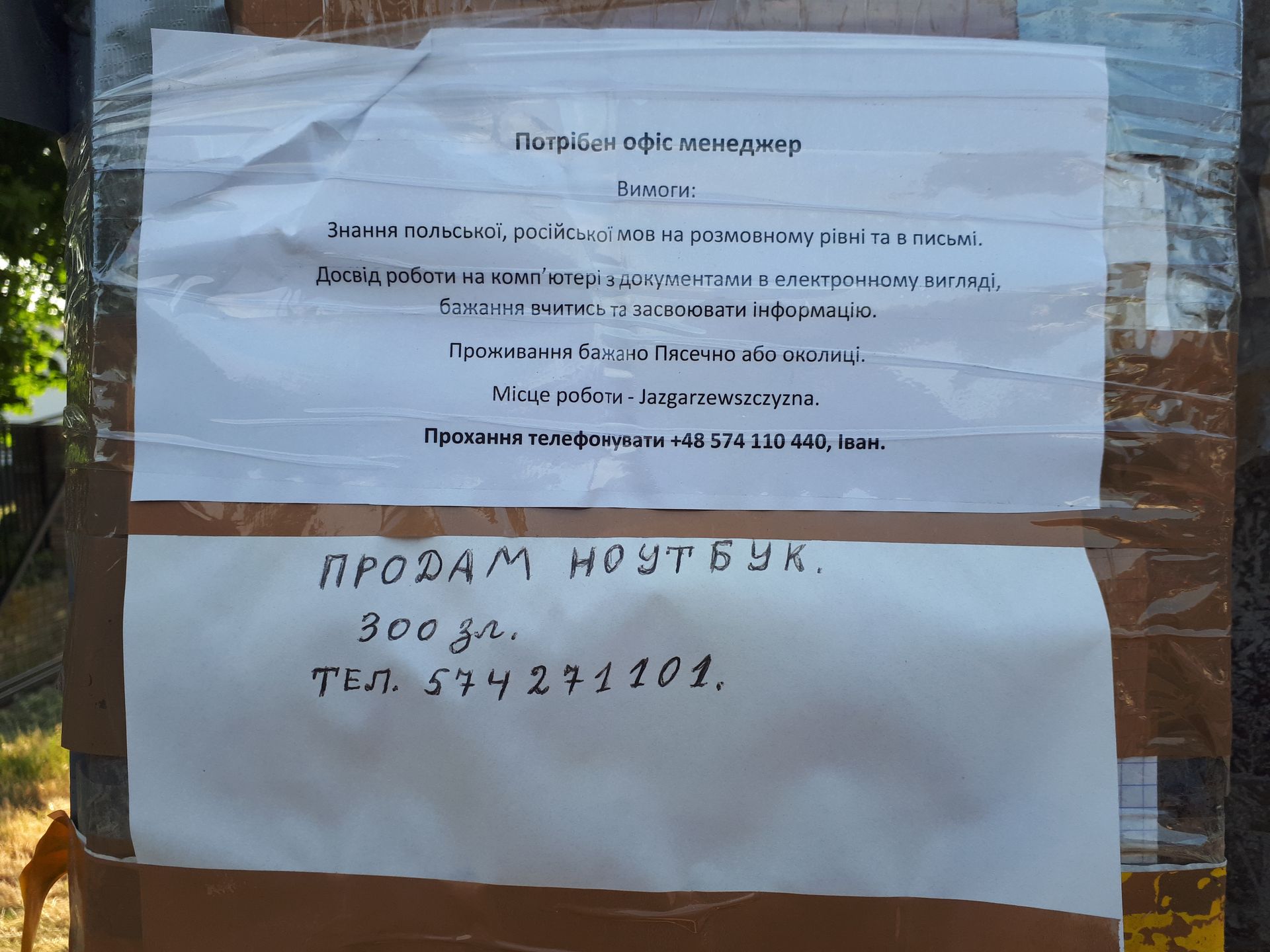 Ogłoszenie wywieszone na słupie w Piasecznie. 